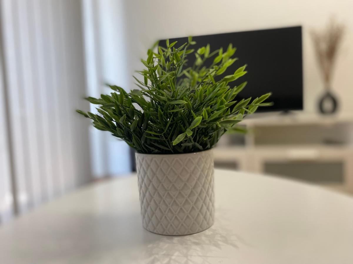 Apartamento Borgia - Gandia Luaran gambar